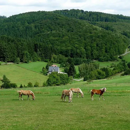 Ferienhaus Rothaargebirge
