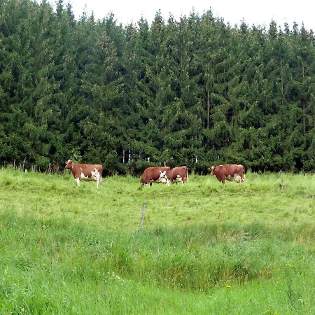 Ferienhaus Rothaargebirge Nyaraló *
